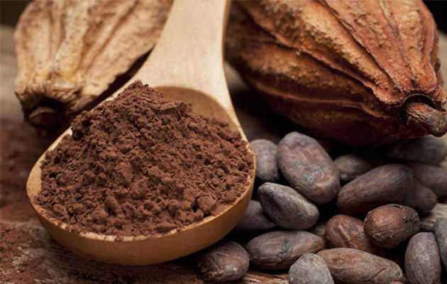 ¿Cómo se produce el cacao en polvo? 6 procesos