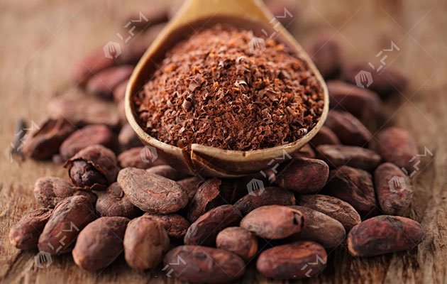 Tecnología De Producción Y Procesamiento Del Cacao