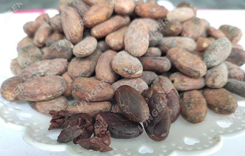 pelar los granos de cacao