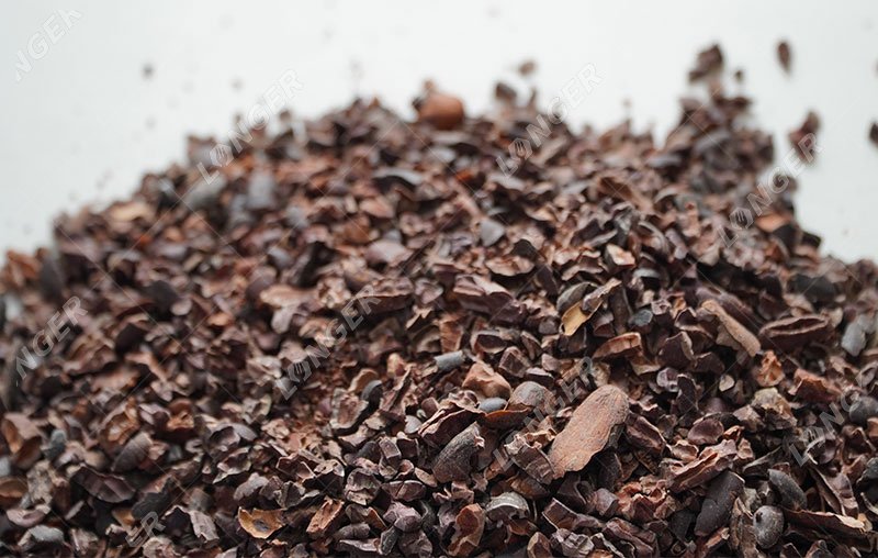 granos de cacao triturados