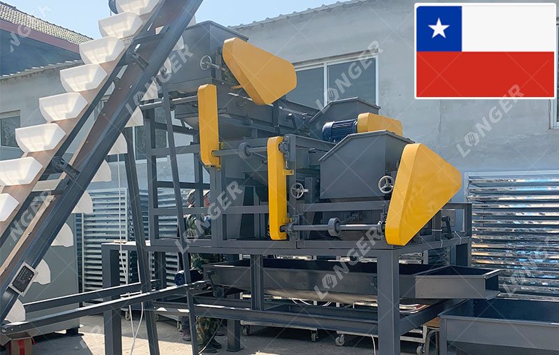 maquina para partir avellanas en chile
