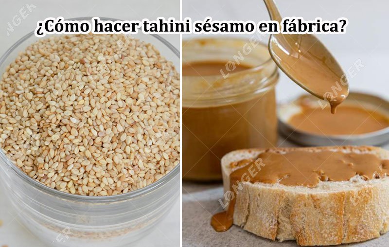 ¿Cómo hacer tahini sésamo en fábrica?