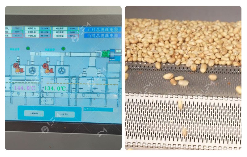 Máquina tostadora de pistachos y frutos secos con control PLC